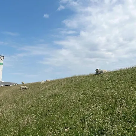 Haus Lith - Strandlaeufer * 北滩岛